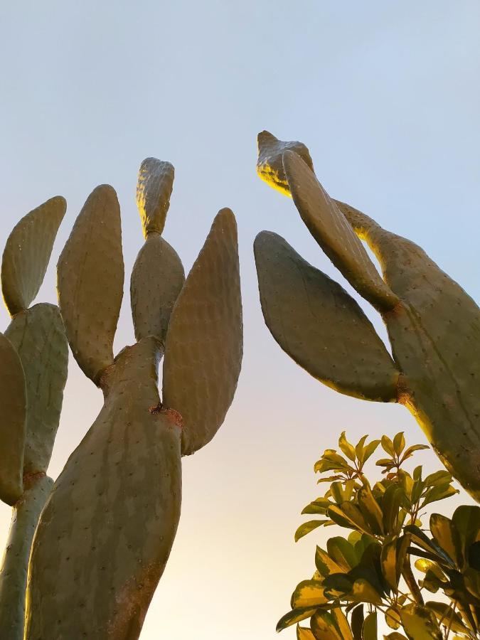 ホテル Giardino Frannicola マーリエ エクステリア 写真