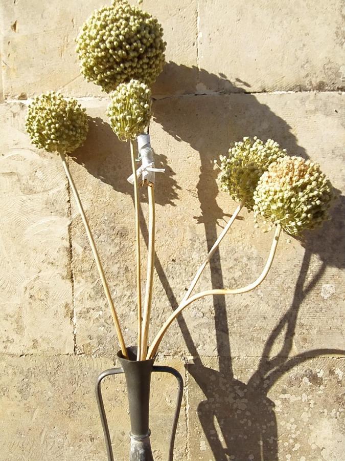 ホテル Giardino Frannicola マーリエ エクステリア 写真