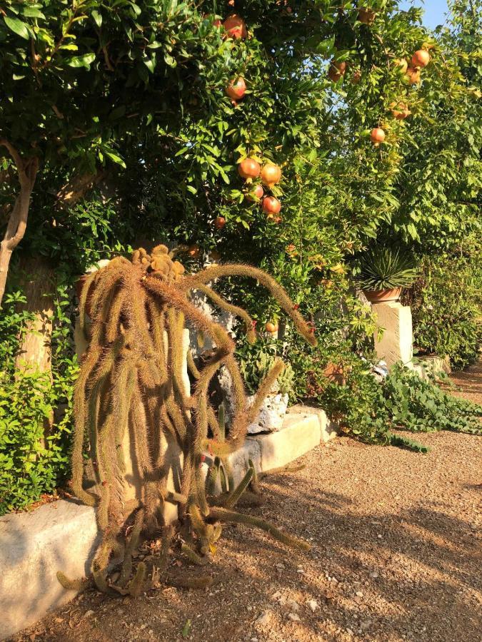 ホテル Giardino Frannicola マーリエ エクステリア 写真