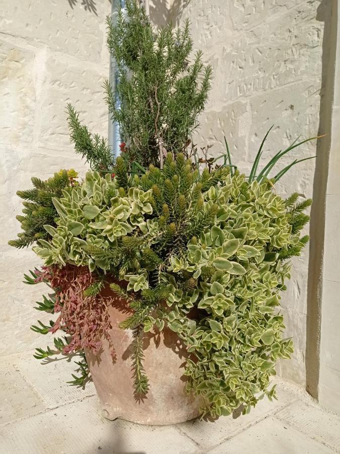 ホテル Giardino Frannicola マーリエ エクステリア 写真